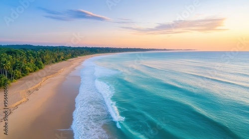 Aerial a tranquil beach at sunrise with gentle waves washing over the shore and palm trees lining the edge of the sand