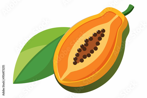 Fresh papaya slice vector illustration