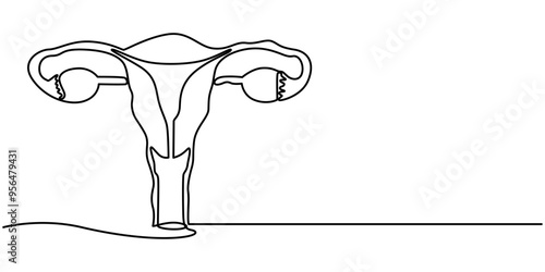 Continuous single one line drawing Uterus and ovaries, organs of female reproductive system and women's day conpect  vector art illustration, Woman reproductive system, one line continuous. Line art