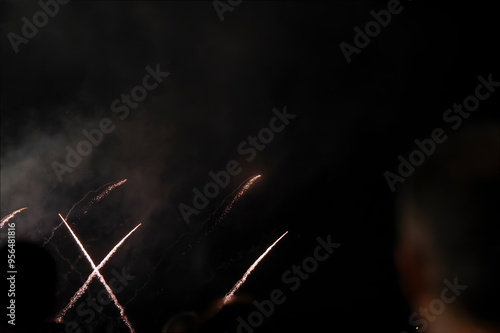 fireworks in the night sky photo