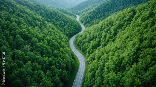 a serene natural landscape with a winding road cutting through a dense forest, the trees towering overhead and the road disappearing into the distance, captured in first person point of view