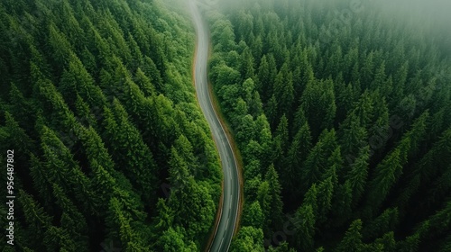 a serene natural landscape with a winding road cutting through a dense forest, the trees towering overhead and the road disappearing into the distance, captured in first person point of view