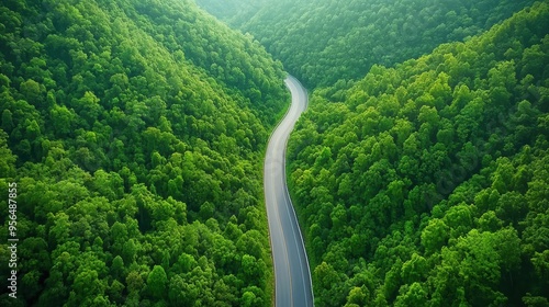 a serene natural landscape with a winding road cutting through a dense forest, the trees towering overhead and the road disappearing into the distance, captured in first person point of view