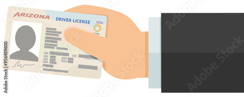 Hand showing Arizona state driver's license in flat design style (cut out)