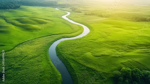 an aerial shot of a winding stream cutting through a grassy plain, with patches of wildflowers adding bursts of color to the landscape