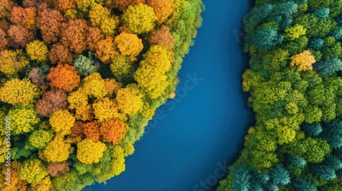 an aerial view of a dense forest with a river cutting through, the trees showing vibrant autumn colors, and the river reflecting the sky