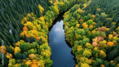 an aerial view of a dense forest with a river cutting through, the trees showing vibrant autumn colors, and the river reflecting the sky