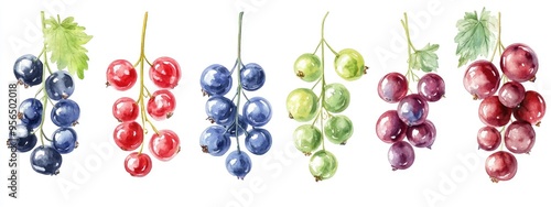 Watercolor illustration showcasing a variety of currant berries in blue tones photo