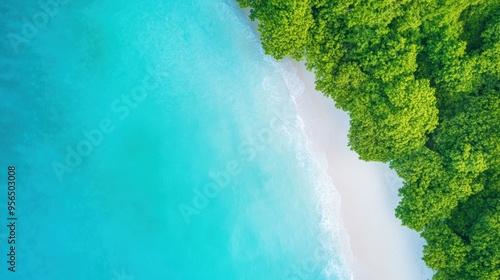 an aerial view of a tropical beach with turquoise waters gently lapping at the shore, surrounded by lush green vegetation