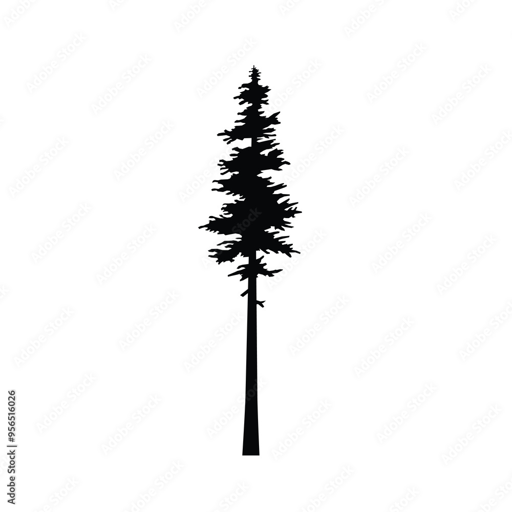 Fototapeta premium An image depicting the dark outline of a pine tree, set against a natural backdrop, and presented in isolation.