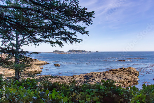 Wild Pacific Trail, Ucluelet, Vancouver Island, Canada photo