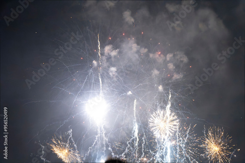 fireworks in the night sky photo