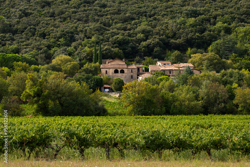 Village provençal typique avec maisons en pierres sèches au milieu des vignes et des arbres au pied d'une colline boisée dans le Sud de la France.