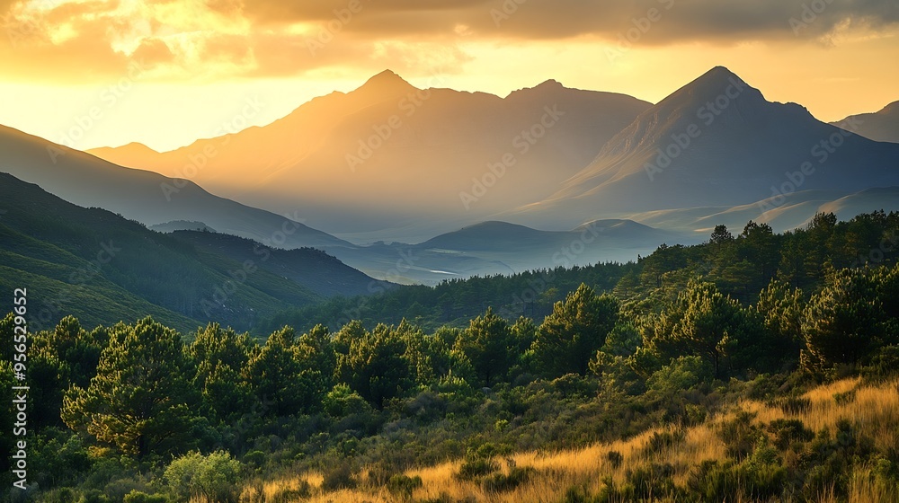 Obraz premium Outeniqua Mountains during a golden sunset George Garden route South Africa : Generative AI