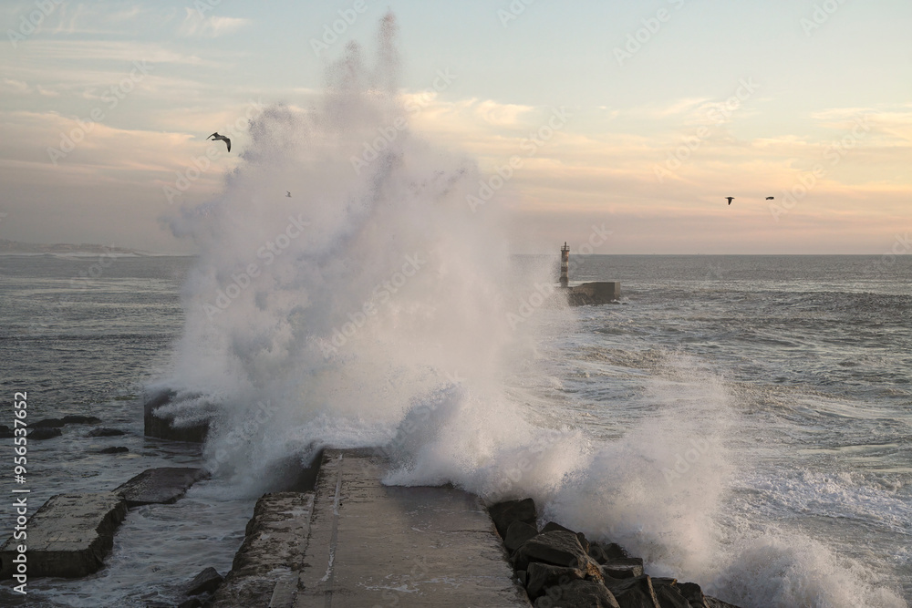 Fototapeta premium Large stormy sea wave splash