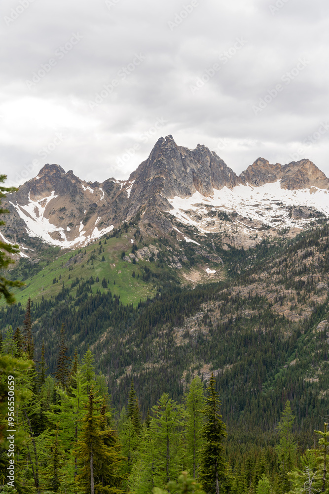 Fototapeta premium A stunning North Cascades mountain view on a cloudy day with a lot of greenery.