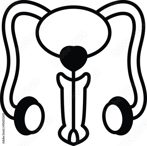 Illustration of the male reproductive system in line art style. photo