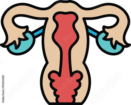 The image is a cartoon of a woman's reproductive system