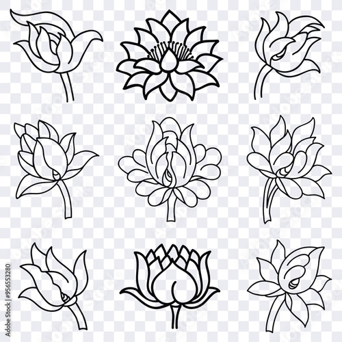 Flowers lotos vector design template 