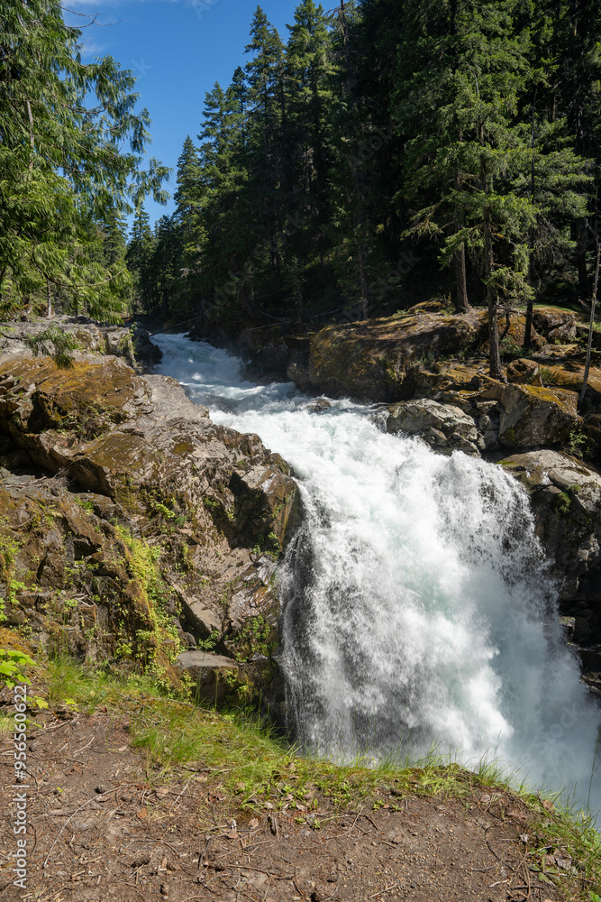 An amazing sunny view of gushing Silver Falls in Mt. Rainier National Park. An amazing sunny view of gushing Silver Falls in Mt. Rainier National Park.