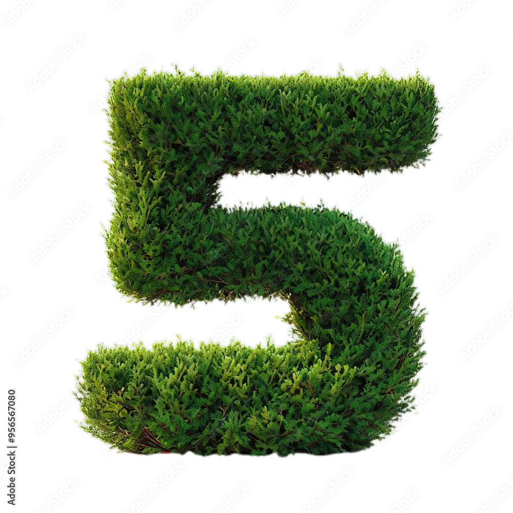 shrubs trimmed into number 5 isolated on transparent background
shrubs trimmed into number 5 isolated on transparent background