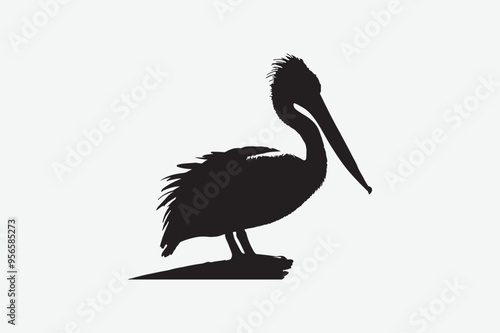 Pelican Bird vector art illustration photo