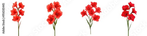 Watercolor summer flora set, A vibrant display of red flowers showcasing their elegance and beauty, perfect for adding a pop of color to any design. Isolate on white background