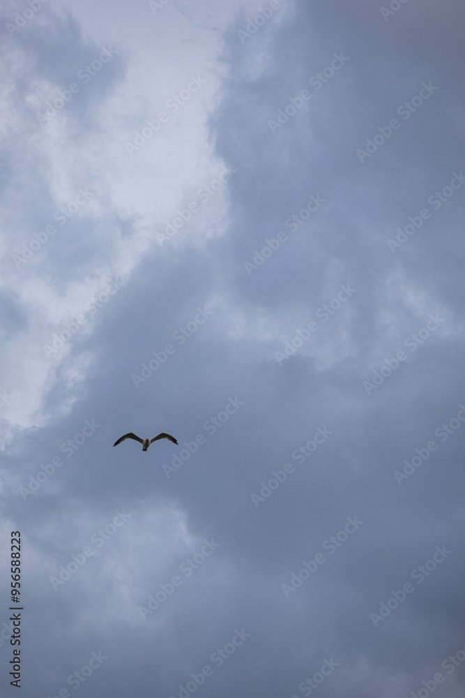 sky with storm clouds and clouds sky with storm clouds and clouds