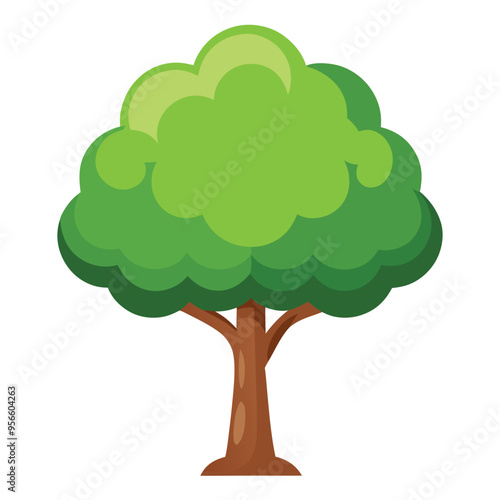 Illustration of Poplar tree isolated on white