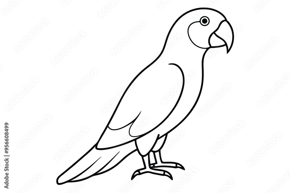 a Parrot line art vector illustration a Parrot line art vector illustration