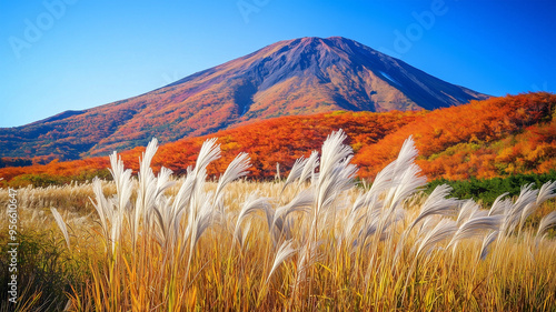 紅葉した山と揺れるススキ