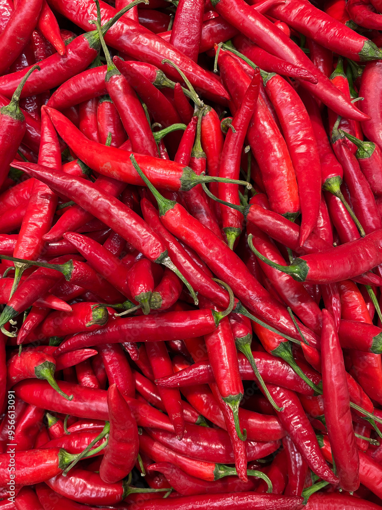 Abundant Red Chili Peppers. A vibrant pile of red chili peppers, showcasing various shapes and sizes. Each pepper is a bold red, with a glossy sheen reflecting the light. Abundant Red Chili Peppers. A vibrant pile of red chili peppers, showcasing various shapes and sizes. Each pepper is a bold red, with a glossy sheen reflecting the light.
