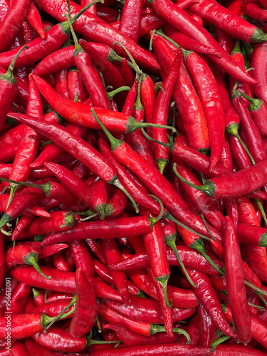 Abundant Red Chili Peppers. A vibrant pile of red chili peppers, showcasing various shapes and sizes. Each pepper is a bold red, with a glossy sheen reflecting the light. 