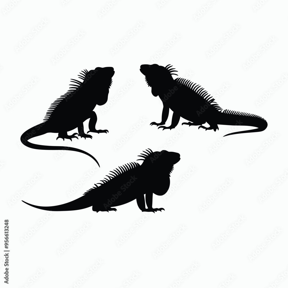 Fototapeta premium Iguana Silhouette Vector Set Animals Illustration Template
