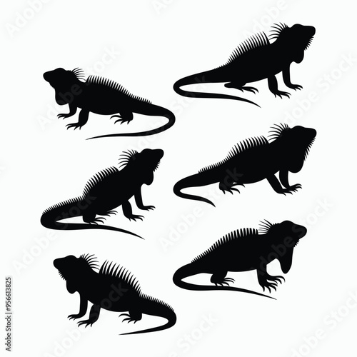 Iguana Silhouette Vector Set Animals Illustration Template