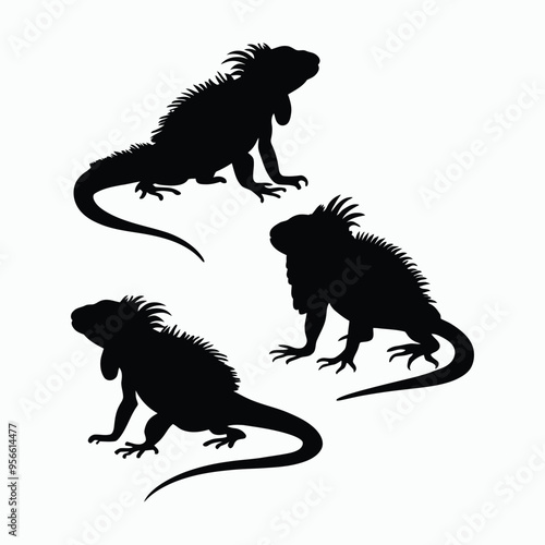 Iguana Silhouette Vector Set Animals Illustration Template
