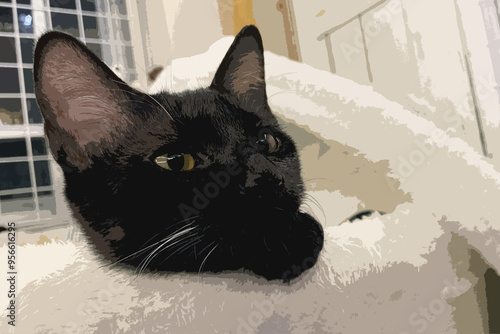 Black cat sleeps on a pet pillow. Pet store item in usage by domestic cat. Horizontal photo