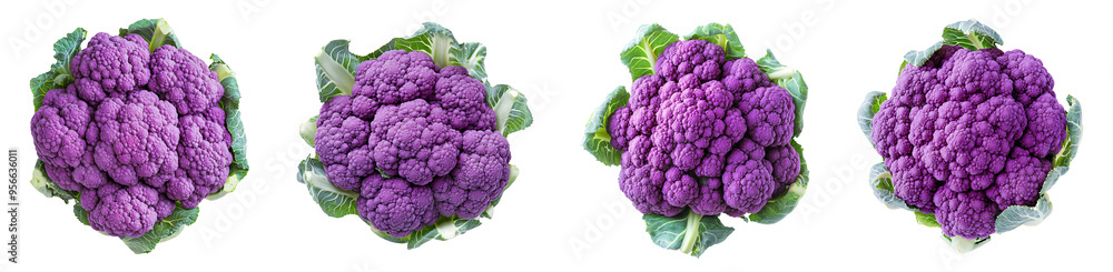 Purple cauliflower isolated on transparent background PNG set Purple cauliflower isolated on transparent background PNG set