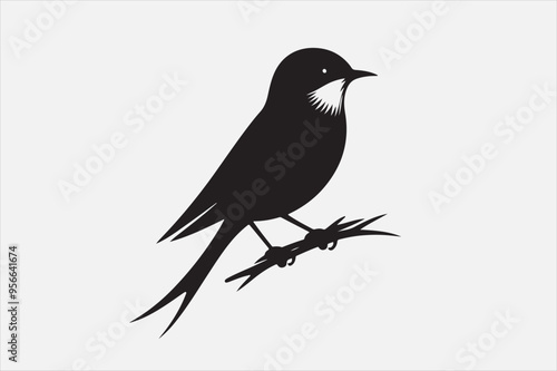 A bird  with white background