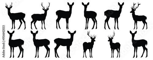 Deer silhouettes set, animal pack of vector silhouette design, isolated background