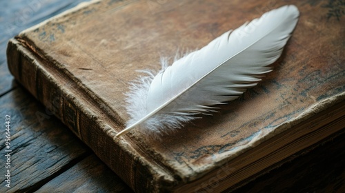 A single feather placed on an old book, with the texture of both the feather and the paper in focus.