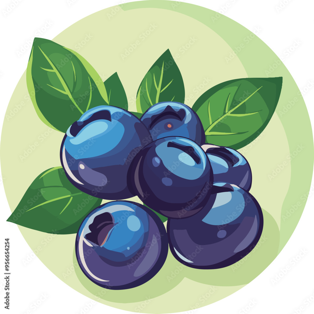 Blueberries with Leaves Round Vector Illustration Blueberries with Leaves Round Vector Illustration