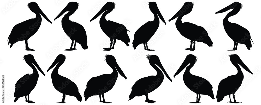 Pelican silhouette set vector design big pack of bird illustration and icon Pelican silhouette set vector design big pack of bird illustration and icon