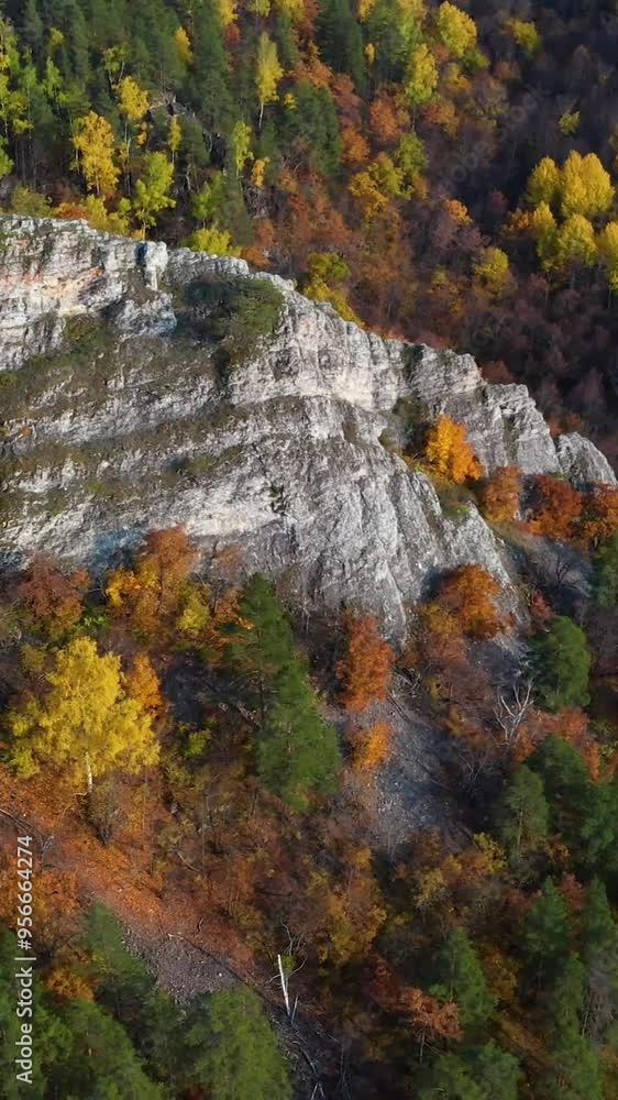 Aerial view of mountain during autumn