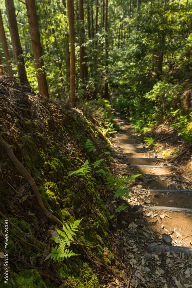 三重県志摩市磯部町にある天の岩戸の境内の風景 三重県志摩市磯部町にある天の岩戸の境内の風景