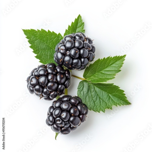 Fresh blackberries and green leaves isolated on a clean white background showcasing nature's bounty