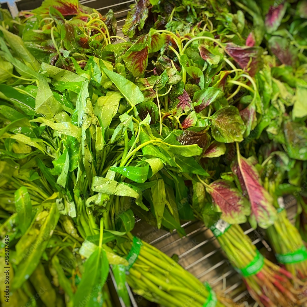 Bunch of freshly cut red spinach and water spinach on shelf in grocery store. Bunch of freshly cut red spinach and water spinach on shelf in grocery store.