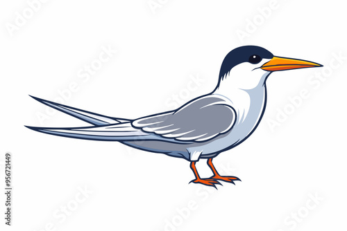  Elegant tern bird goes icon vector art illustration photo