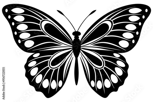 butterfly illustration silhuette vector 