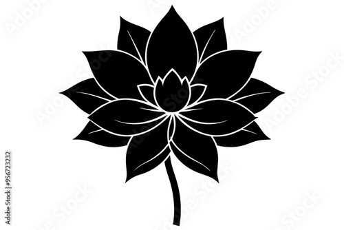 a flower silhuette vector illustration